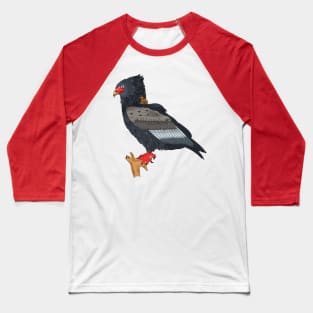 Bateleur Eagle illustration Baseball T-Shirt